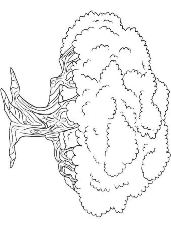 Раскраска к басне свинья под дубом