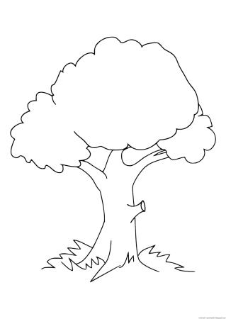 Дерево дуб раскраска