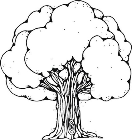 Дерево раскраска для детей