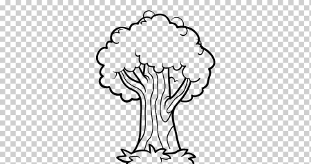 Дуб раскраска