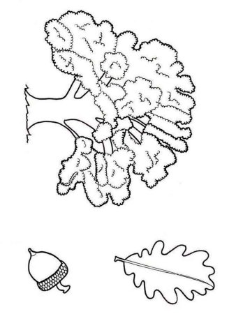 Дерево раскраска для детей