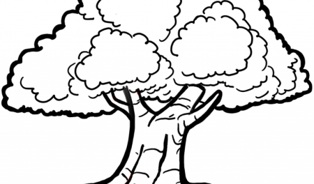 Дуб раскраска