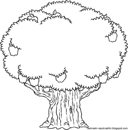 Дуб рисунок