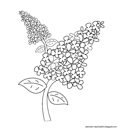 Ветка сирени шаблон для аппликации