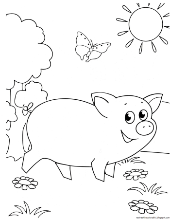 Свинья раскраска для детей