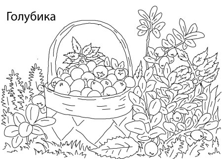 Лесные ягоды раскраска для детей