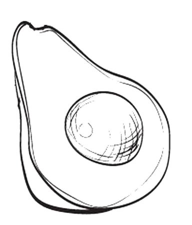 Маленькие раскраски авокадо