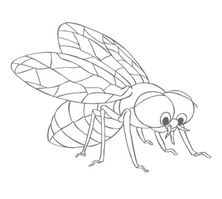Трафарет "насекомые"