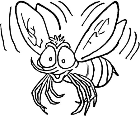 Муха раскраска для детей