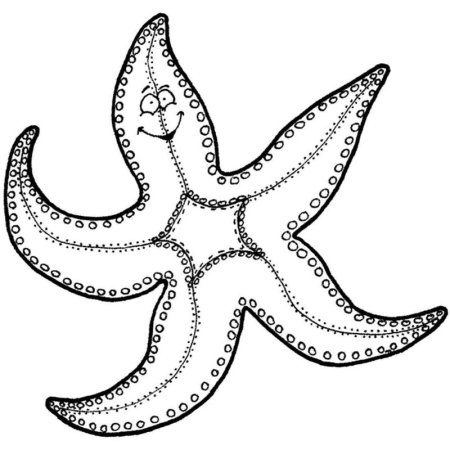 Морская звезда раскраска
