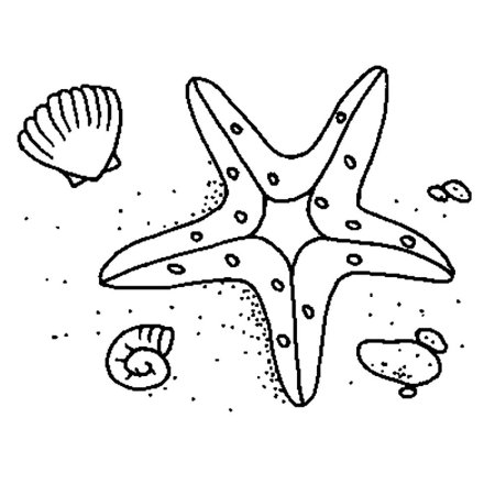 Раскраска морскиизвезды
