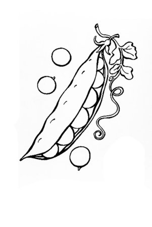 Горошек раскраска для детей