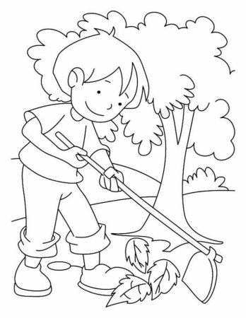 Лес раскраска для детей