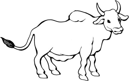 Бык раскраска для детей