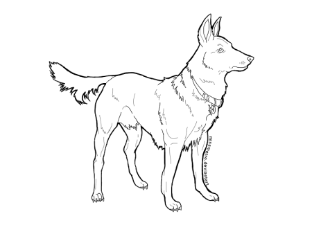 Овчарка раскраска