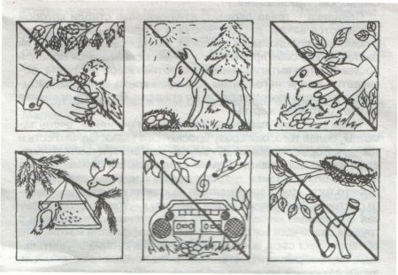 Раскраска защита природы для детей