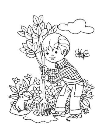 Экологические раскраски