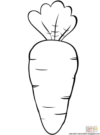 Морковь рисунок