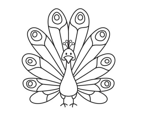 Павлины раскраска