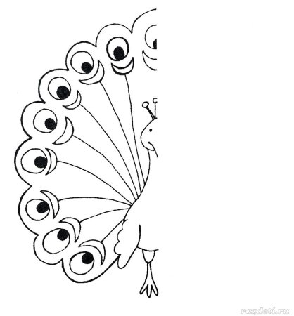 Павлин. Раскраска