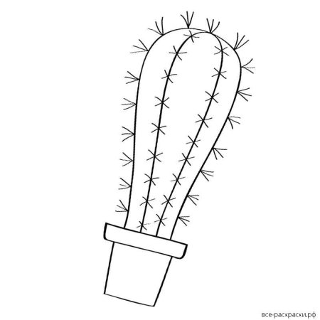 Раскраска Кактус в горшке