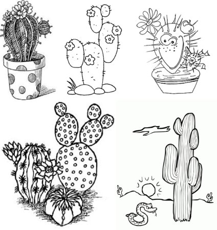 Кактус раскраска для малышей