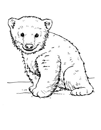 Раскраска "мишки"