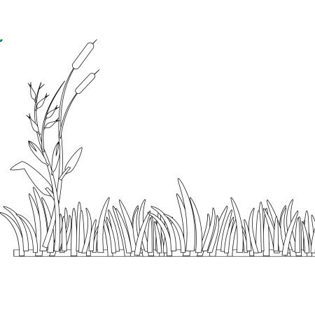 Цветочная Поляна раскраска