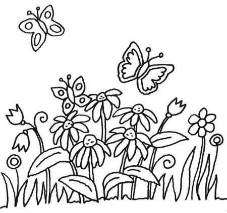 Раскраска цветы на лугу