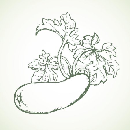 Кабачок детский рисунок