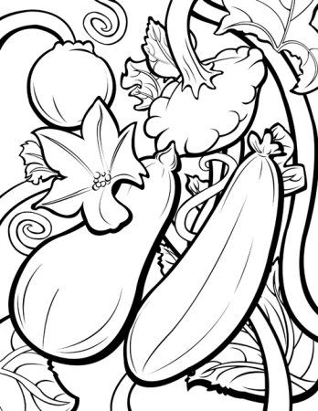 Кабачок раскраска для детей