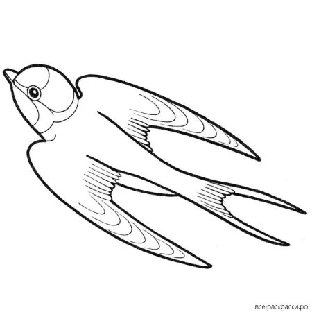 Ласточка картинка для детей раскраска