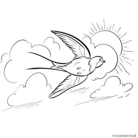 Ласточка раскраска для детей