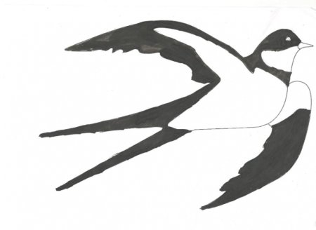 Раскраска Ласточка в полете