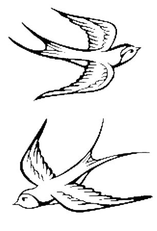 Ласточка раскраска