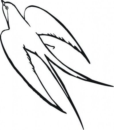 Стриж птица