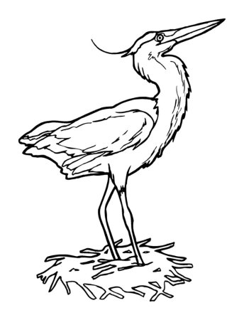 Цапля рисунок