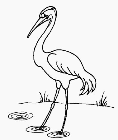 Цапля контурный рисунок