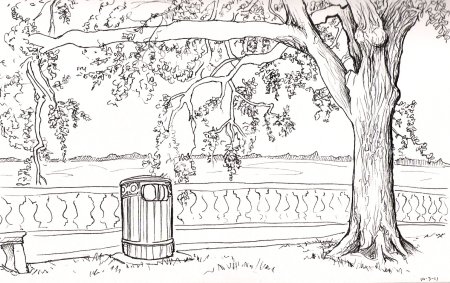 Раскраска парк с деревьями