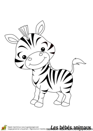 Зебра раскраска