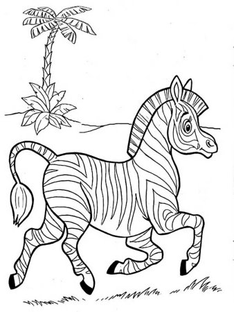 Зебра раскраска для детей
