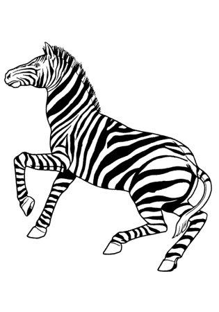 Зебра трафарет для детей