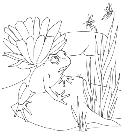 Раскраска к сказке серая Звездочка Заходер