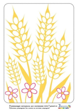 Колосок пшеницы раскраска