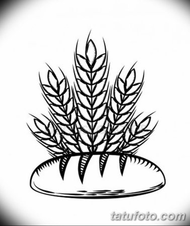 Колосок рисунок карандашом