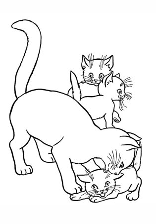 Кошка с котятами раскраска для детей