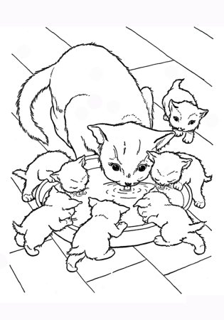 Раскраска кот и кошка