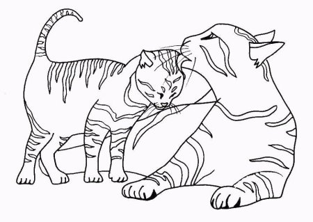 Кошки. Раскраска