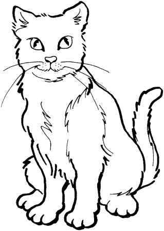 Кошка раскраска для детей