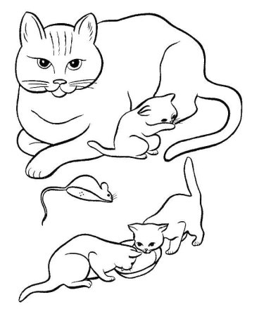 Раскраски домашние котята